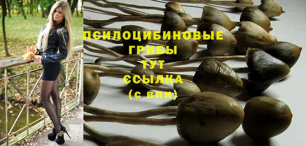 кокаин Алексин