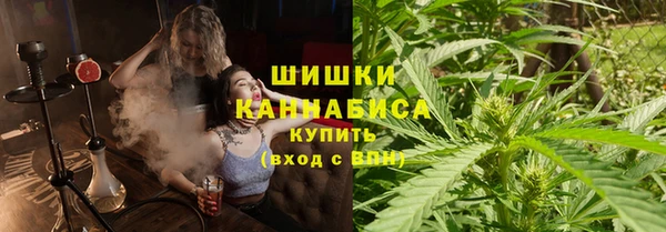 мдпв Осташков