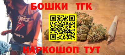 МДПВ Сланцы